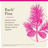 Bach Original Flower Remedies, Pine for Self Respect, Natural Homeopathic Flower Essence, Emotional Wellness and Stress Relief, Holiday Gift for Him or Her, Vegan, 20mL Dropper