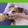 Lion Pet Kiss Dental Brush, Regular