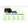 MEMORY BRAIN BOOSTERS FOR DOGS - concentration, vividness and much more