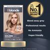 Jerome Russell, Bblonde Permanent Hair Colour 10.3, Golden