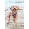 Gencon Airmesh Harness Medium Blue