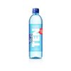 Ten Alkaline Spring Water, Ph 10, High In Electrolytes, 16.9 Ounce Bot