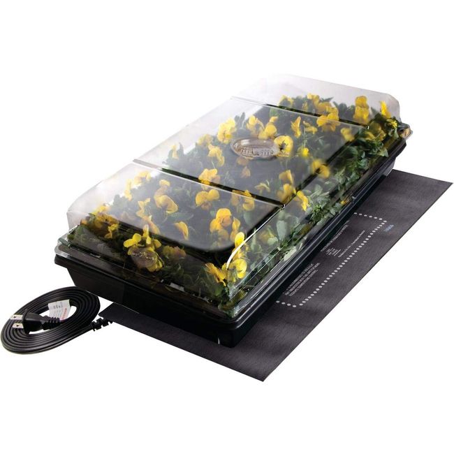 Jump Start CK64050 Germination Station w/Heat Mat Tray, 72-Cell Pack, One size, 2" Dome