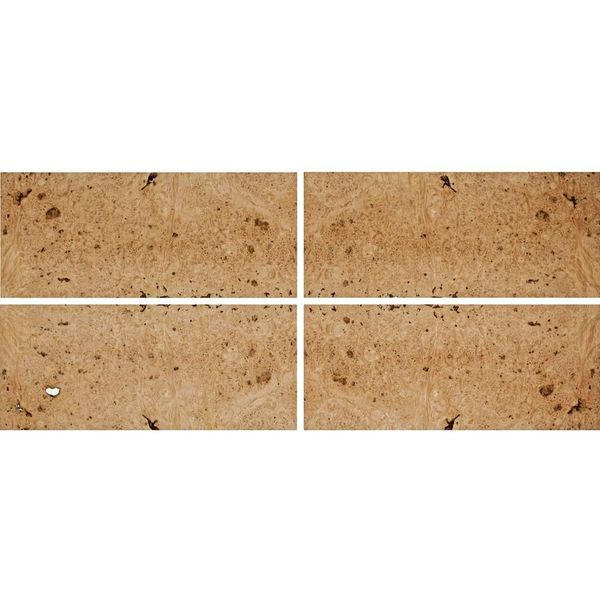 Maple Burl Sequenced Matched 4-Way Veneer Pack