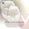 Nootropics Depot Lions Mane Mushroom Capsules | 8:1 Whole Fruiting Body Dual Extract | 500mg | 60 Count | Hericium erinaceus