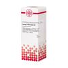 Galega officinalis D1 DHU Dilution, 20 ml Lösung