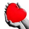 Lower blood sugar - BLOOD SUGAR SUPPORT COMPLEX - Support blood vessels, 1B