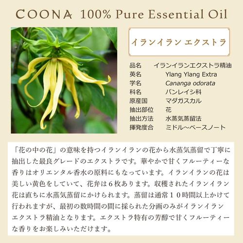 Ylang Ylang Extra 50ml (COONA Essential Oil, Aroma Oil, 100% Natural Plant Essential Oil)