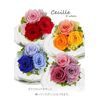 Preserved Flower Cafe Preserved Flowers Cecil (Pink Red)