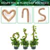 Coco Coir Bendable Moss Pole for Monstera & Cheese Plants, 40cm