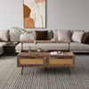 Lift Top Coffee Table, Modern Coffee Table with 2 Storage Drawers