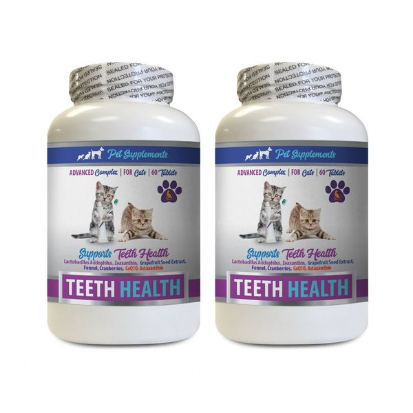 cat oral care - CAT TEETH AND GUM HEALTH 2B - minerals for cats