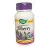 Nature's Way Bilberry Extract for Eyes with Black Elderberry*, Eye Health Supplement for Adults*, 90 Capsules