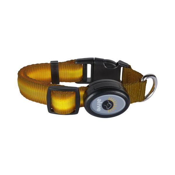 L.E.D. Dog Collar Small-Medium-Adjustable Length-Yellow. 3 Modes!