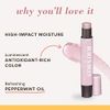 Burt's Bees Lip Shimmer, Champagne 0.09 oz (Pack of 6)