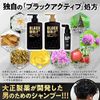Black Wolf Volume Up Scalp Shampoo Refill, 11.2 fl oz (330 ml)