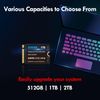 YUCUN 1TB 2230 NVMe SSD PCIe Solid State Drive Compatible with Steam Deck, Surface Pro, Tablets