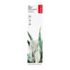 RADIUS Toothbrush Replacement Brush Heads 2-Count Improve Gum Health & Reduce Gum Issues - Soft Big Head - Pack of 1