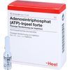 ATP Injeel forte Ampullen 10 St