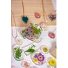 Pebeo 4 Silicon Moulds Geometric Board, Assorted, 1 Planche