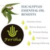 FERIHA Moroccan Eucalyptus Black Soap, 100% Natural, Artisan Beldi Soap