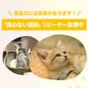 lavitoile raヴxi-toware Cat Sand