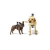 GoPro Fetch Dog Harness - Official GoPro Mount