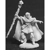 Reaper Drake Whiteraven, Elf Wizard