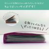 KingJim Clear File, Journal-Type Binder