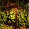 Outdoor Landscape Lighting Low Voltage LED Pathway Light 6 Pack 22 Lumen