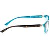 Pic Solution Foocus Glass Style Brown/Green +1
