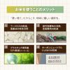 Instant Toothbrush Biomass Set of 500
