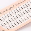 Free Union False Eyelashes, Mixed Fishtail, 60 Pieces & 120 Bundles, For Makeup, Stage, Recitals, Parties, Handmade, Volume Mink Soft, 2.4 x 1 Bottle - 0.3 inches (60 x 8 mm)