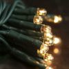 Light String Strand Teeny Twinkle Multi Function - 140 Ct Clear Bulbs Green Cord