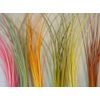 Hareline Quill Body White
