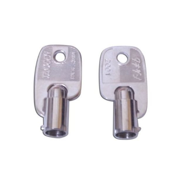 Woodpecker Hildegard (Genuine Child Keys Key) 2001 #