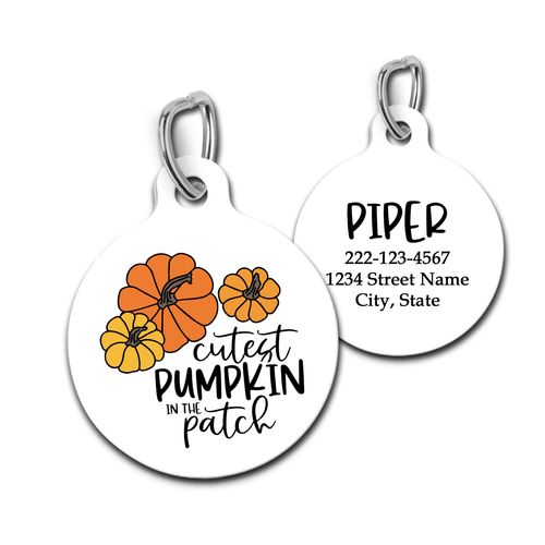 Cutest Pumpkin In The Patch Pet Id Tag Personalized Charm for Cats and Dogs Fall Autmn
