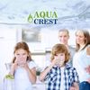 AQUA CREST Water Filter Replacement for RF-9999® Faucet, NSF Certified, 3 Pack