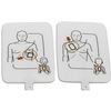 Prestan AED UltraTrainer, Single AED Trainer