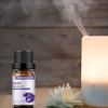 GREENSLEEVES Essential Oil - 10ml (Violet)