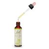 Bach Original Flower Remedy Wild Rose 20 ml