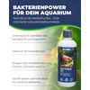Hobby 51142 Bacteria Fit