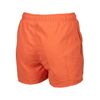 ARENA Boys' Beach Shorts Logo R Swim Trunks