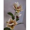 Magnolia stem bush CREAM with Green highlights