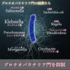 Supplements to inhibit "Proteobacteria Gate" [Intestinal Immune Proteo]