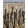 Elixir Gardens Spiral Tree Guards 1.5ft/18 Inch Professional Rabbit/Pest, Sapling & Shrub Protector x 10
