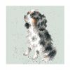 Wrendale Designs - 'George' Card