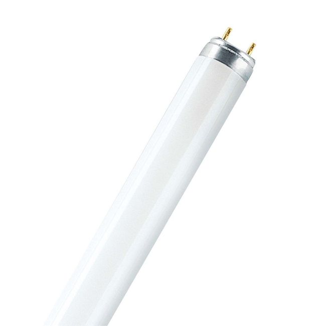 OSRAM 3波長形蛍光ランプ(蛍光灯) LUMILUX T8 直管形 30W 3波長形昼光色 6500K LUMILUX T8 L30W/865(65664)