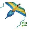 WindNSun Rainforest Nylon Kite, Macaw, 60 Inches Wide
