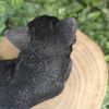 Vivid Arts - Laying Black Cat - XRL-DC61-D